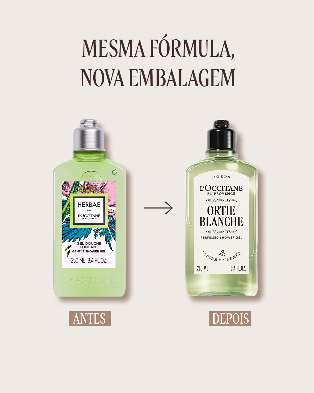 L'OccitaneTHÉVERTグリーンティ 100ml 2本セット L'OccitaneTHÉVERTグリーンティ 100ml 2本セット 数量限定】グリーン